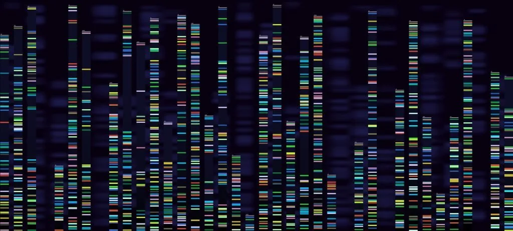 DNA Testing: African American Genetics is Key to Your Ancestry